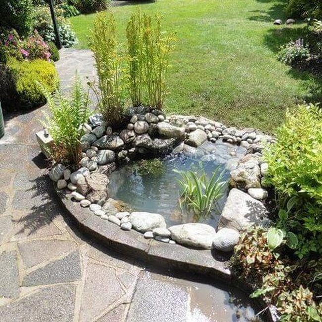 Curved Stone Pond With Living Plants