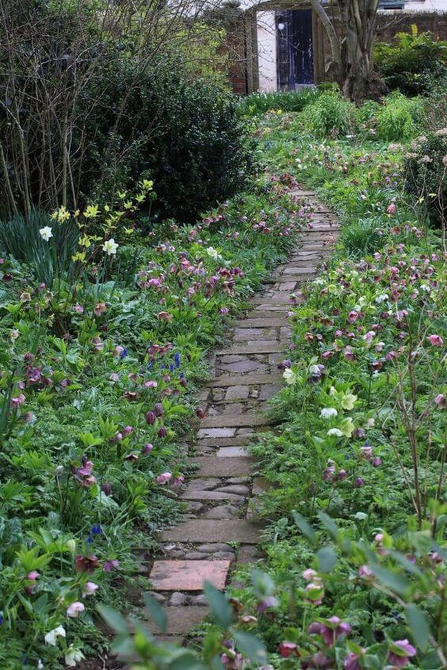 Purple Blooms Stone Path Garden