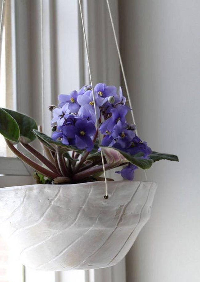 Purple Blooms In Glass Hangers