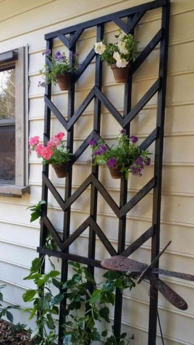 Black Chevron Lattice Reflects Light