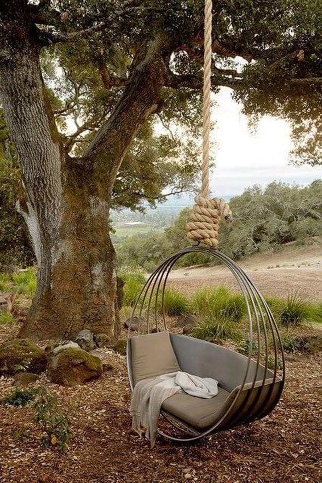 Suspended Serenity In Green Canopy