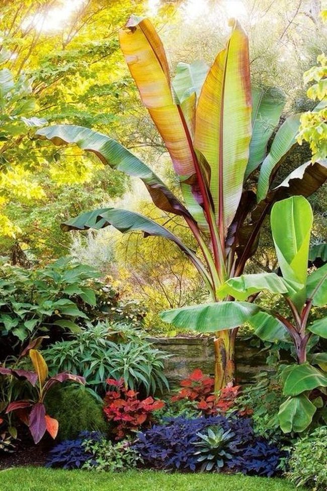 Massive Green Fronds, Instant Tropics