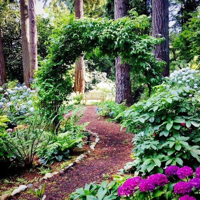 Flowering Vines Frame Garden Path