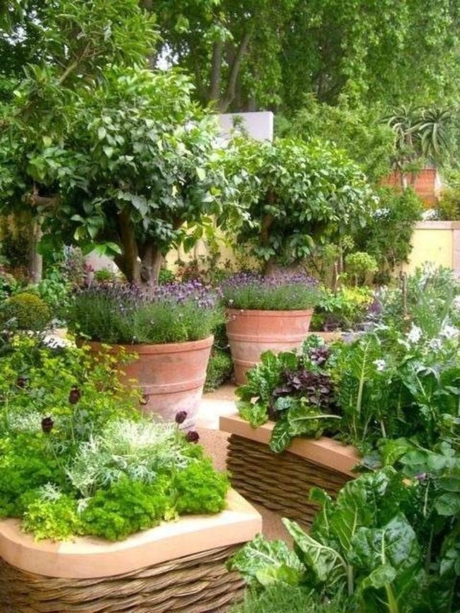 Terracotta Herbs In Layered Heights