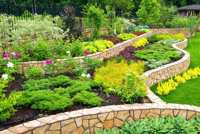 Tiered Slopes With Colorful Peonies