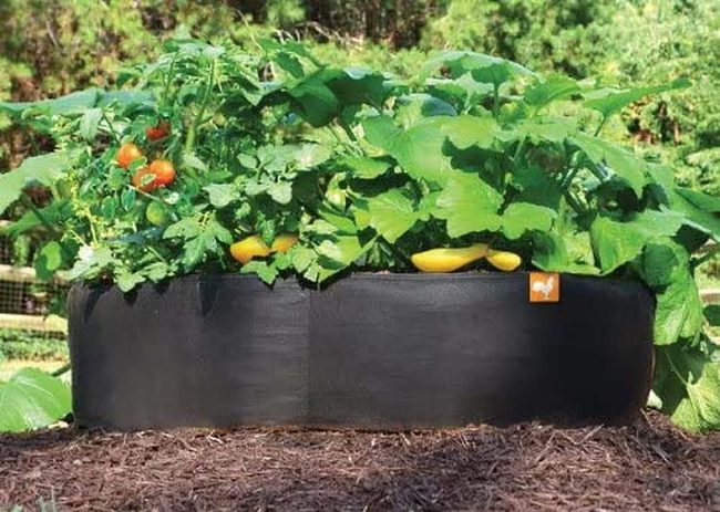 Instant Garden, Zero Assembly Required