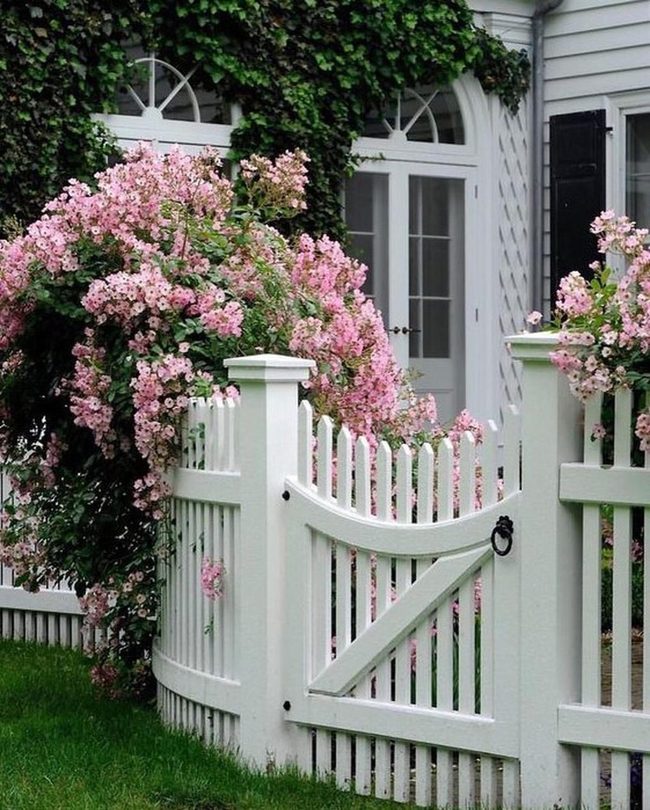 Pink Blooms Meet White Cottage