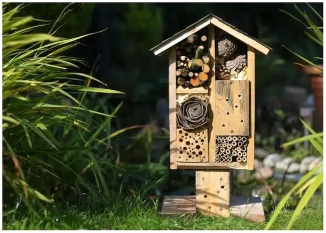 Bamboo Tubes For Buzzing Guests