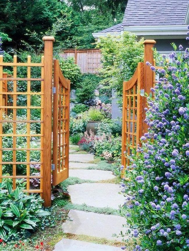 Purple Blooms Through Green Garden Passages