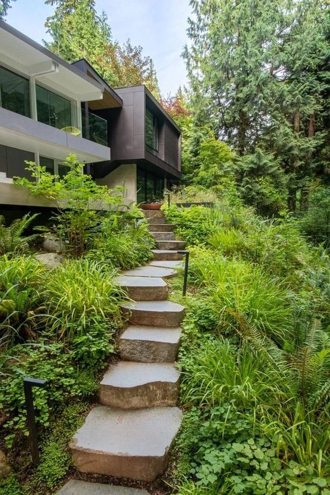 Stone Stairway Into Green Canopy