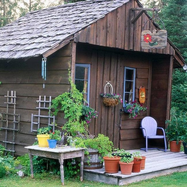 Weathered Wood Cabin Purple Chairs