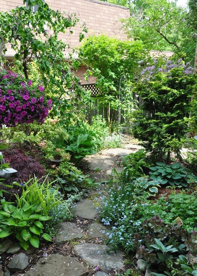 Cascading Petunias Along Stone Paths