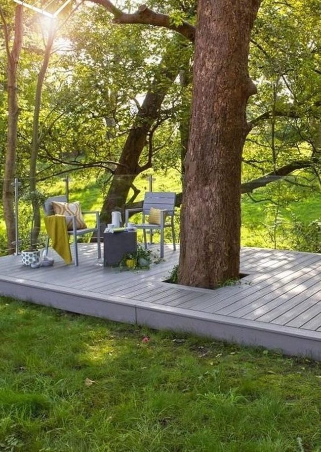 Tree-Pierced Gray Deck Retreat