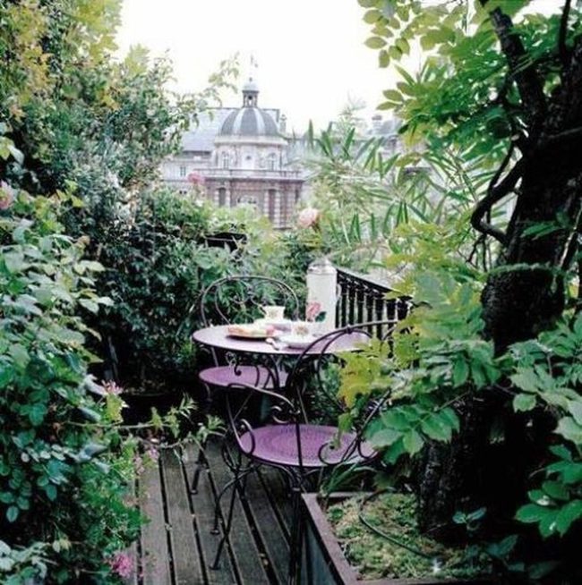 Purple Chairs Among Urban Greenery