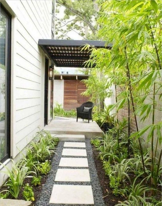 Green Corridor Toward Quiet Shade
