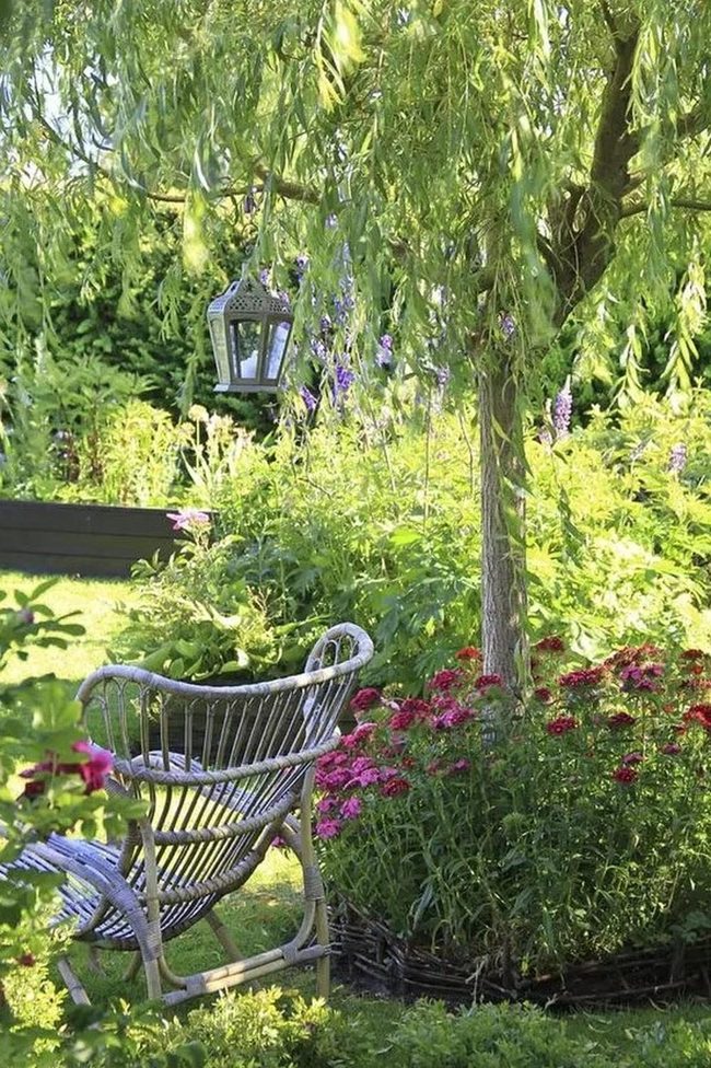 Pink Blossom Garden With Black Lanterns