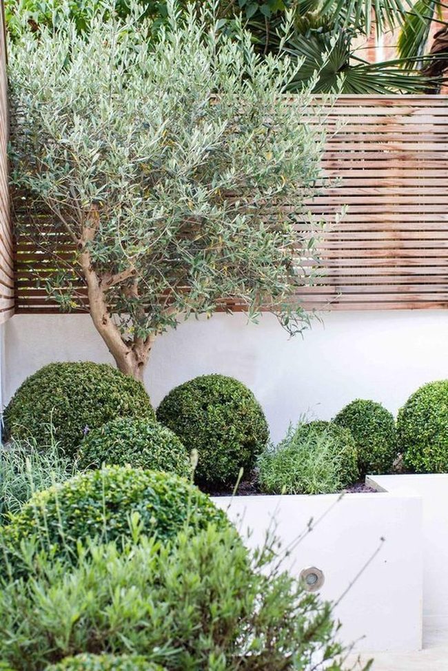 Layered Green With White Planters