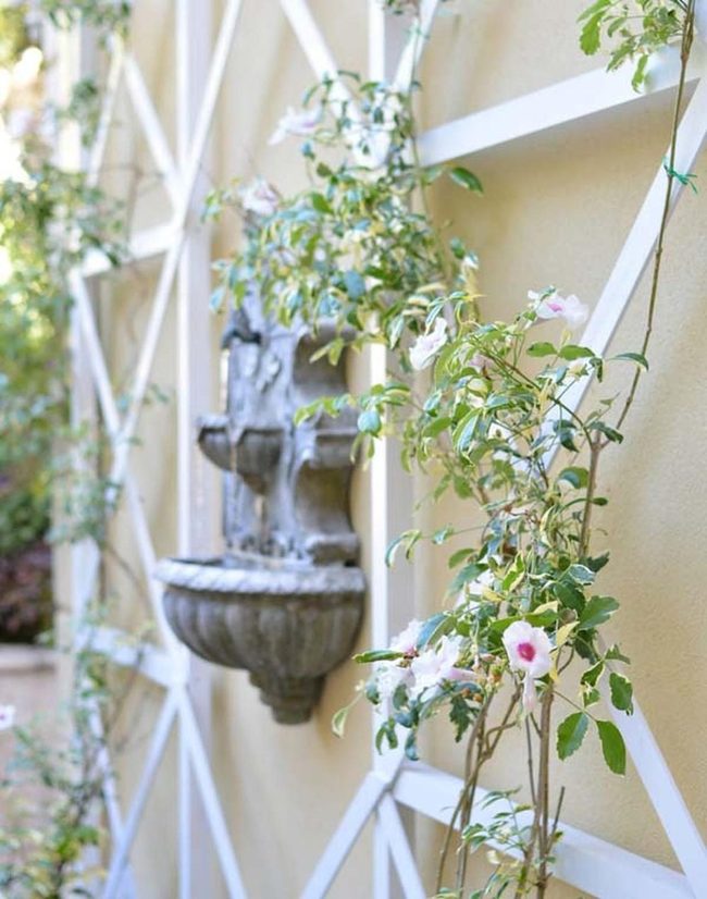 Climbing Vines Meet Flowing Water