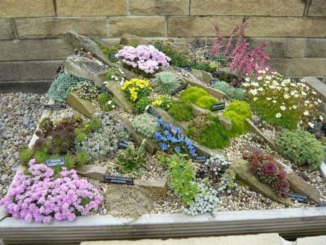 Crushed Gravel Plant Showcase Corner