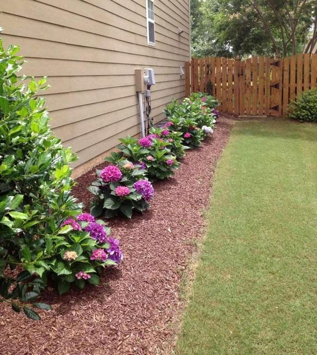 Colorful Blooms Transform Plain Walls