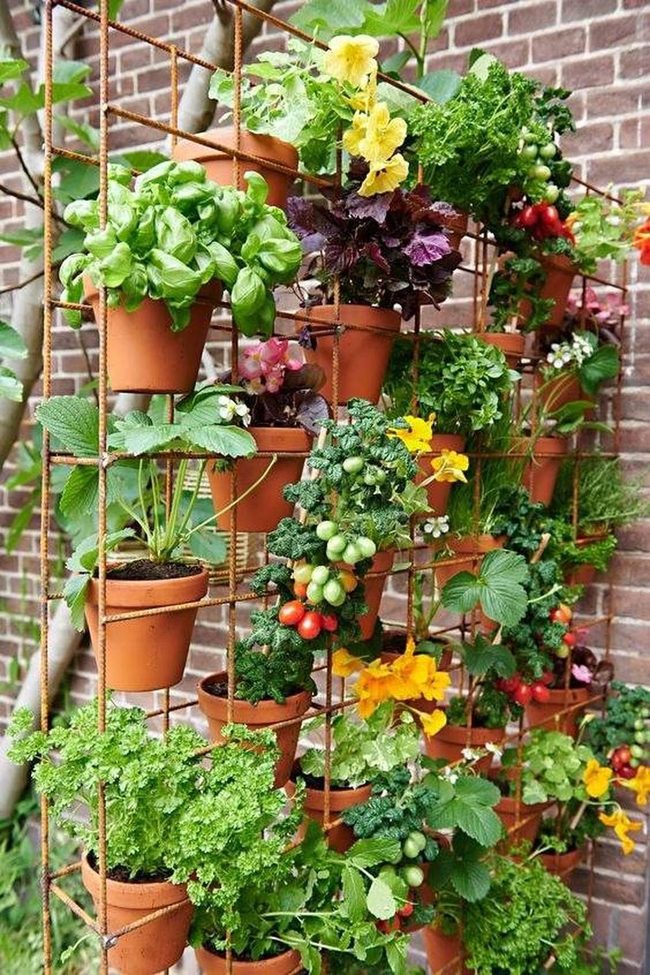 Vertical Green Walls With Recycled Materials