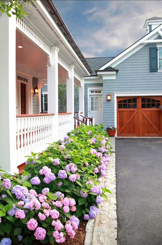 Hydrangeas For Year-Round Garden Impact