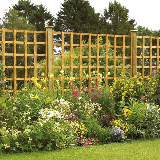 Cheerful Blooms Against Wooden Lattice