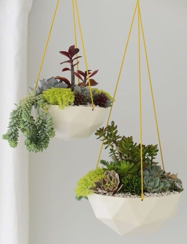 Green Succulents White Ceramic Cascade