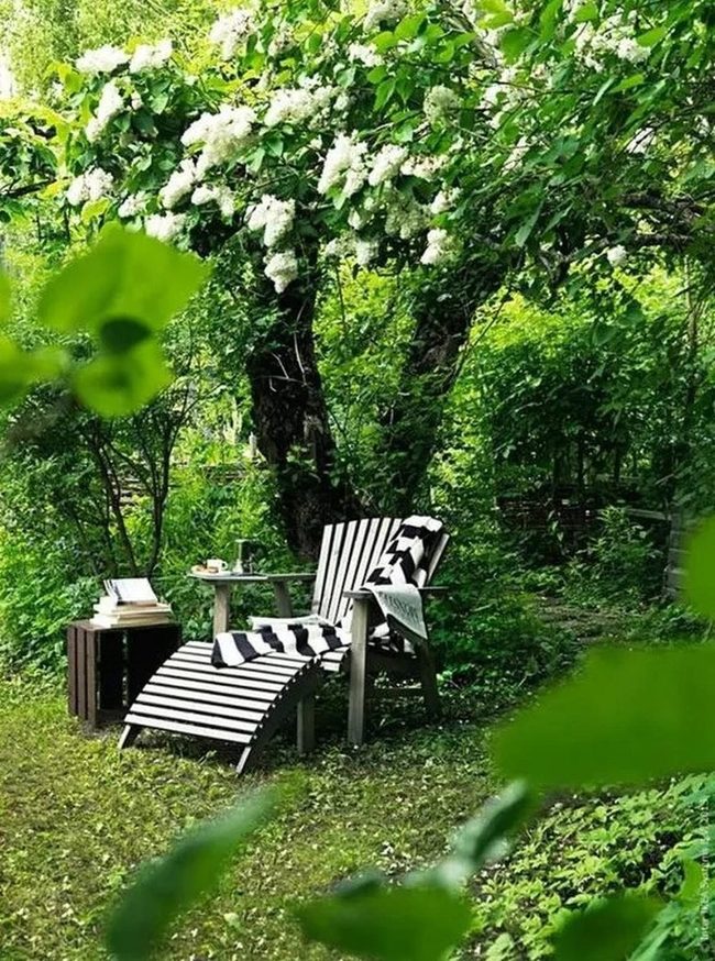 Black Striped Chairs In Green Garden