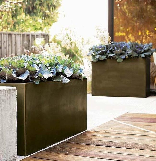 Dark Planters Green Living Space