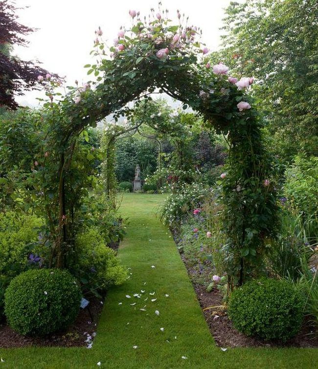 Pink Roses Garden Archway