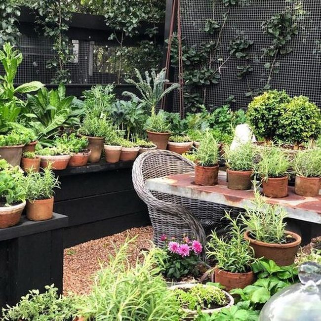 Portable Plants Define Outdoor Spaces