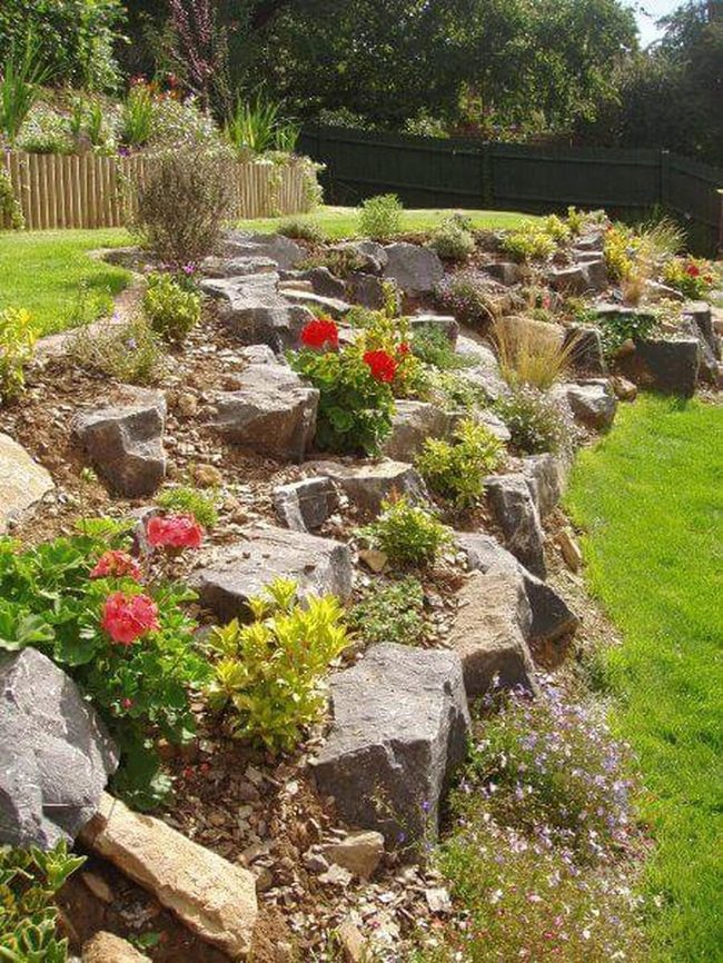 Stone And Succulents Low Maintenance
