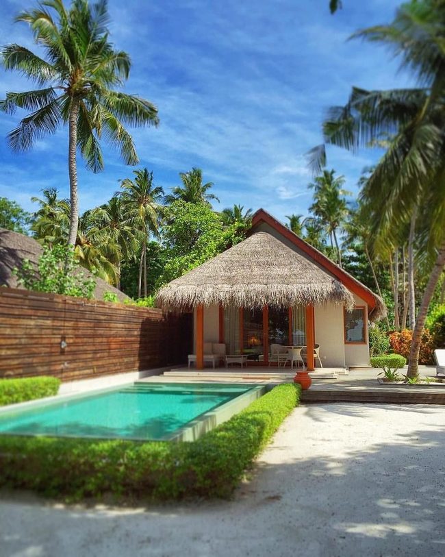 Secluded Water Garden Surrounded By Green
