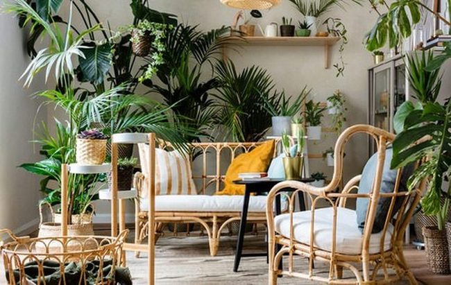 Lush Greenery Frames Your Coffee Corner