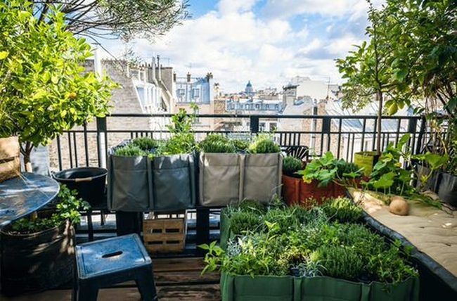 Lightweight Fabric Containers For Urban Gardens