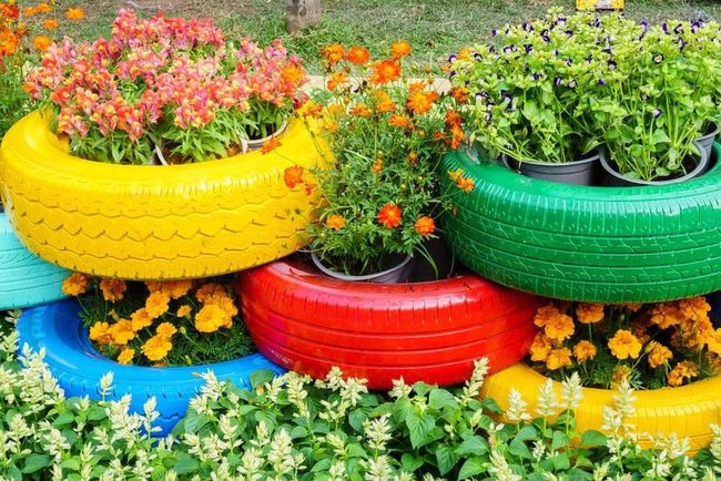 Painted Tires, Blooming Flowers