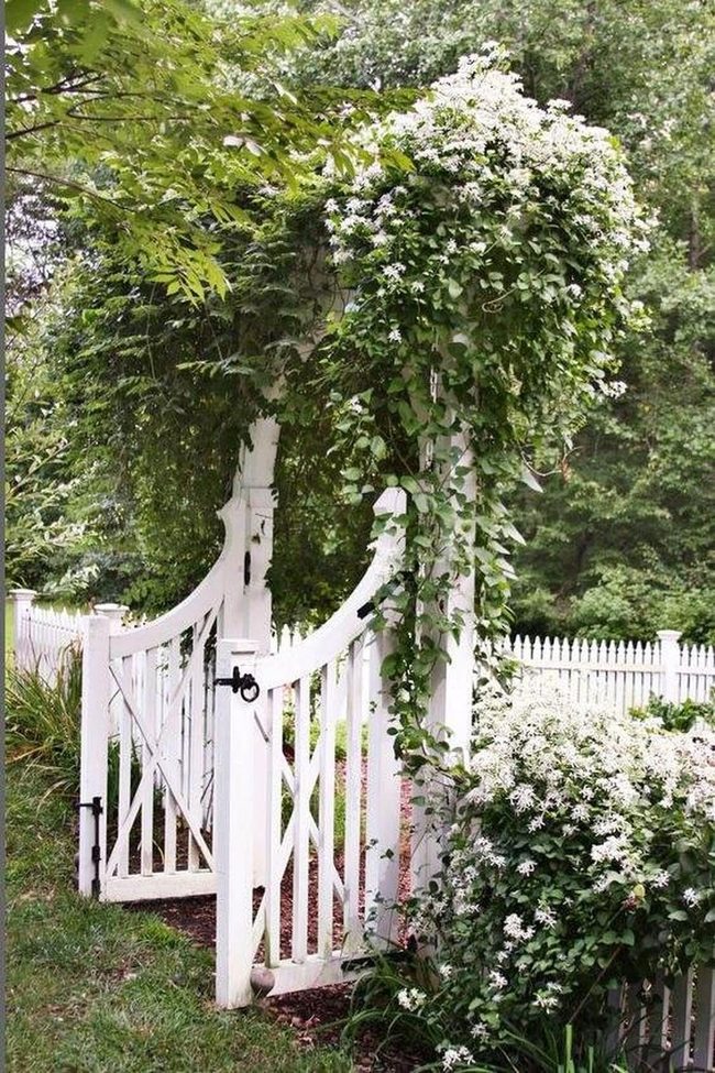 Flowering Vines Frame Your Gate