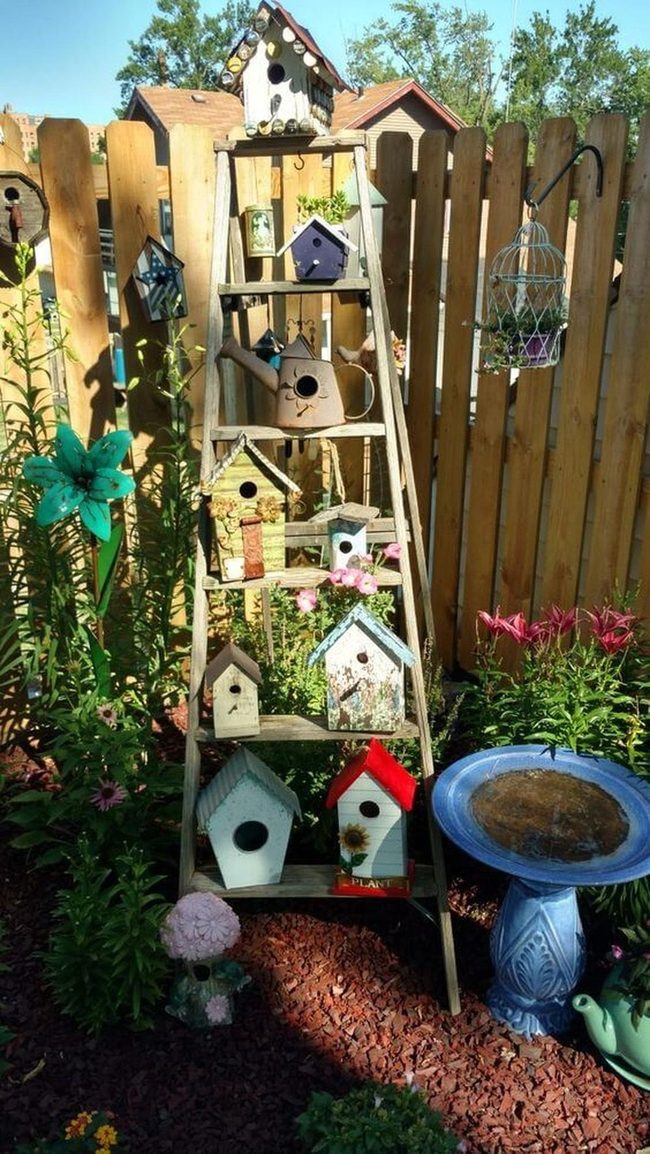 Colorful Birdhouses On Ladder