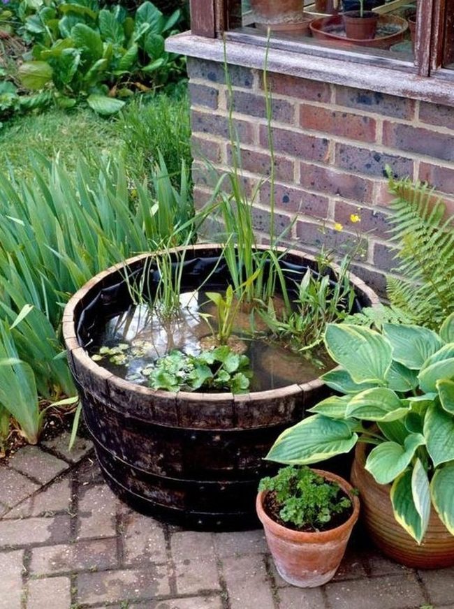 Wooden Barrel Overflowing With Green
