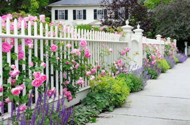 Blooming Wood Fences Garden Anchor