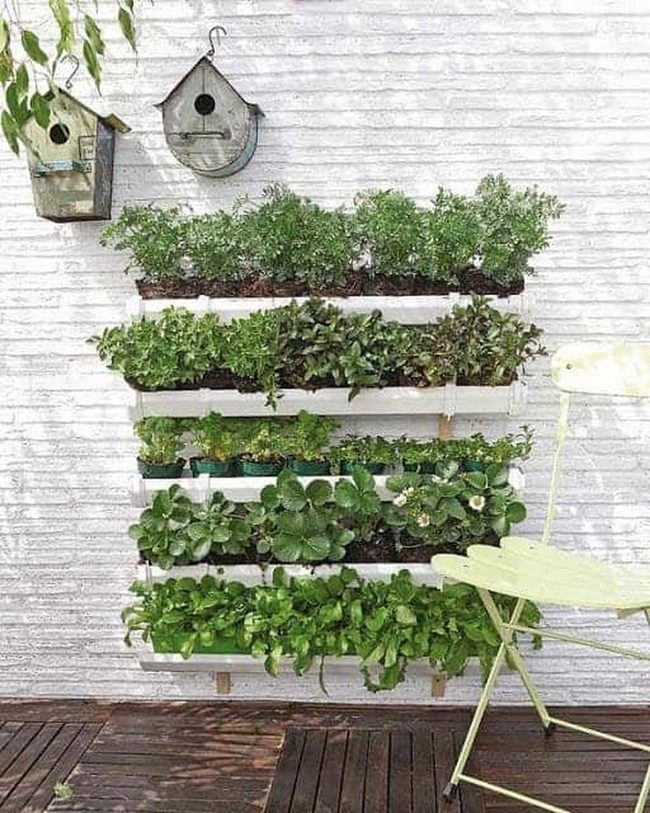 Green Shelves Against White Brick