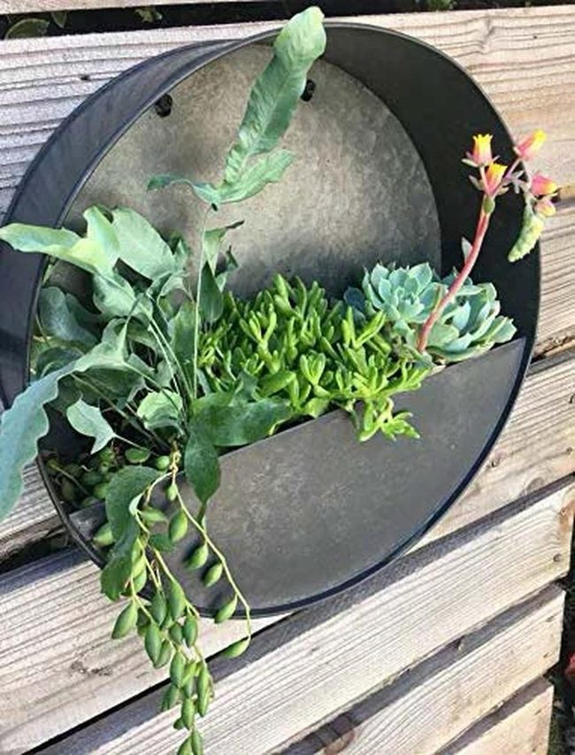 Galvanized Metal Succulent Planters
