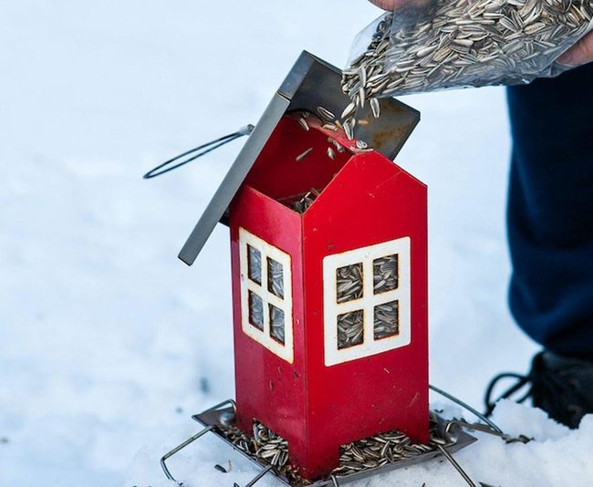 Bright Red Birdhouse Feeder