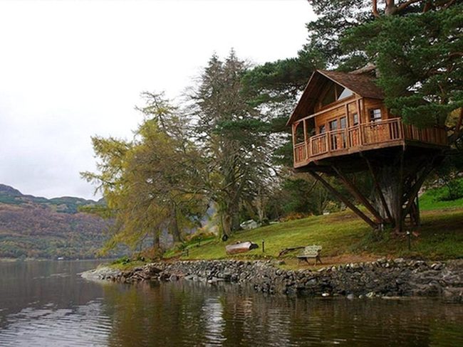 Lakeside Treehouse Among Ancient Trees