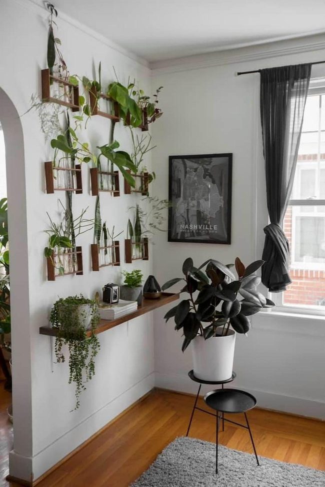 Wooden Shelves Overflow With Cascading Green