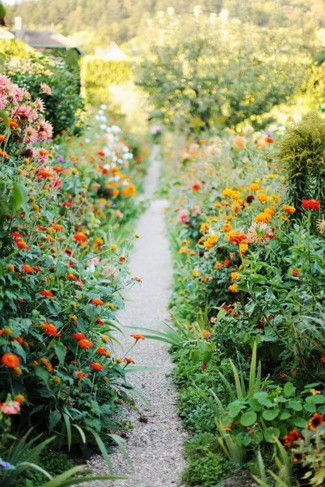 Orange And Pink Flower Pathway