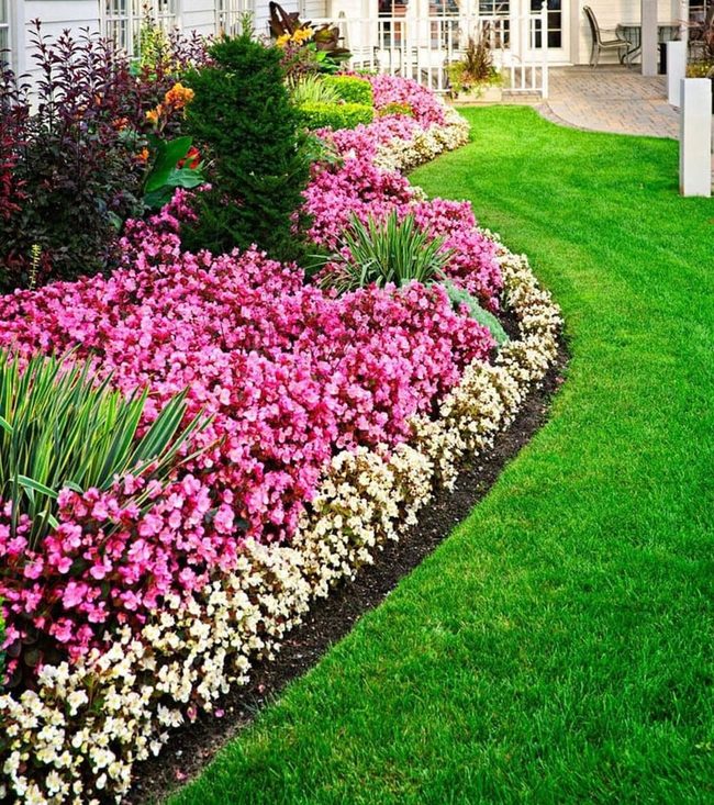 Organized Blooms Front Entrance
