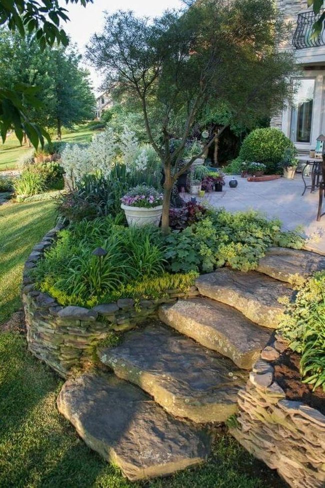 Stone Pathways Through Layered Greenery