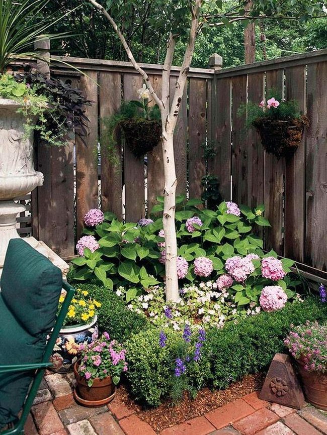 Pastels Pink Hydrangeas Garden Retreat